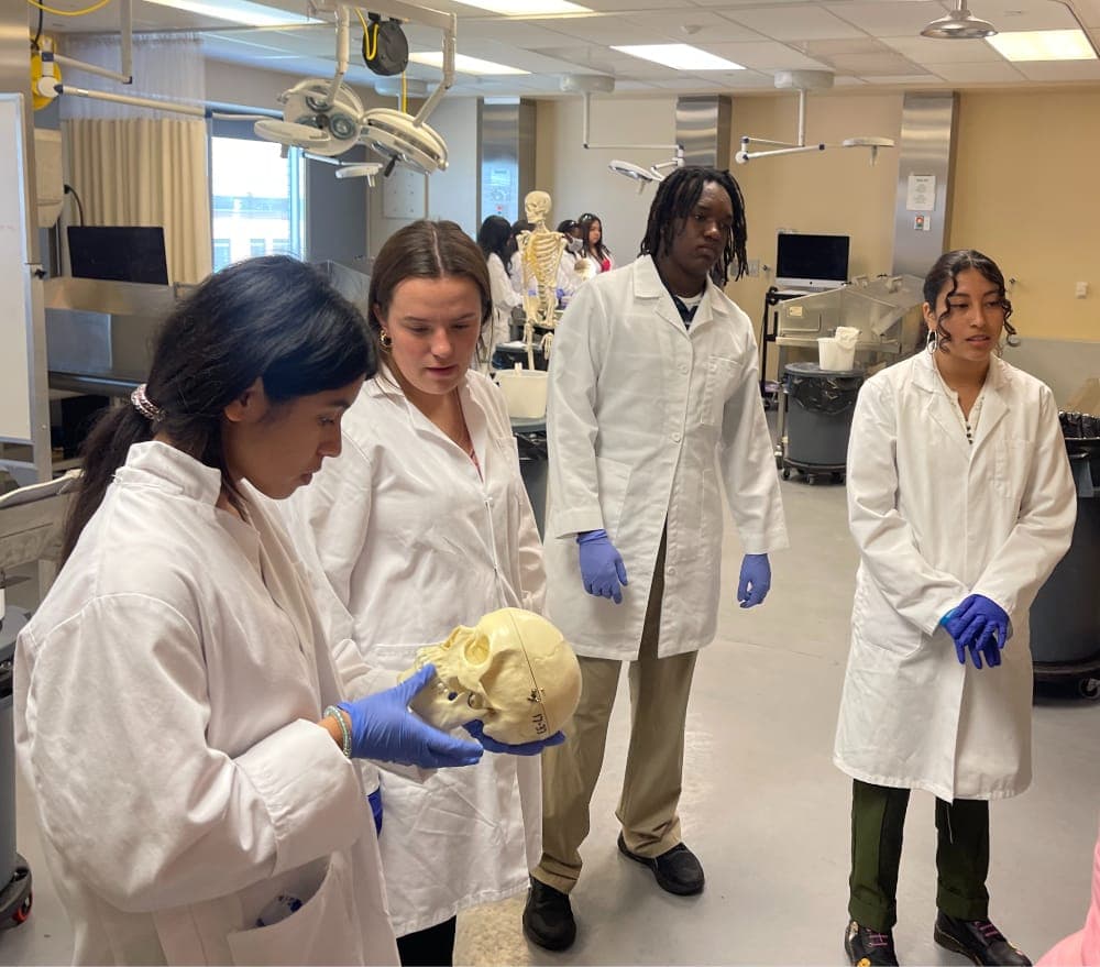 Four high school students in white lab coats and blue gloves in an anatomy lab, one holding a model skull